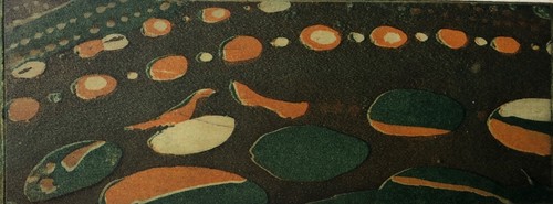 Piccoli ufo willibrord haas - "piccoli, ufo",