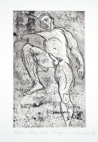 Willibrord haas in - willibrord,
