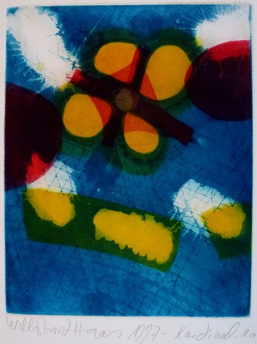 Willibrord haas cardinale - willibrord,