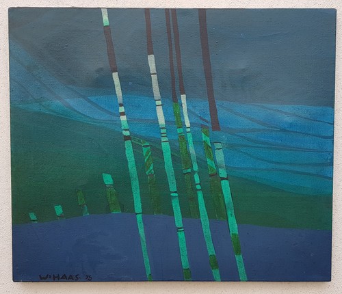 Willibrord haas informale 1975 - haas,